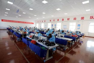 特色產業引領致富路——宜君縣與鹽城推廣服務的融合發展